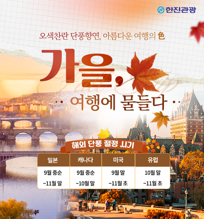 [기획전] 가을 기획전
