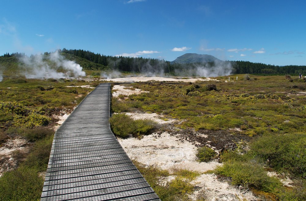 크레이터스 오브 더 문