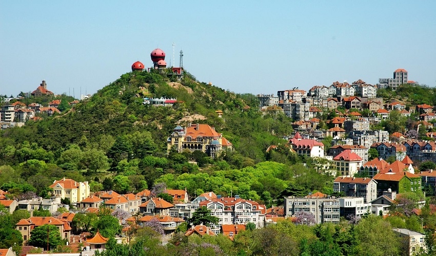 신호산