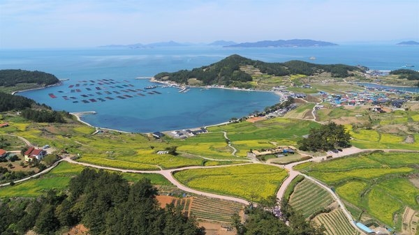 청산도