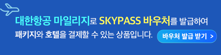 skypass 마일리지 혜택