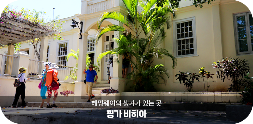 핑가 비히아