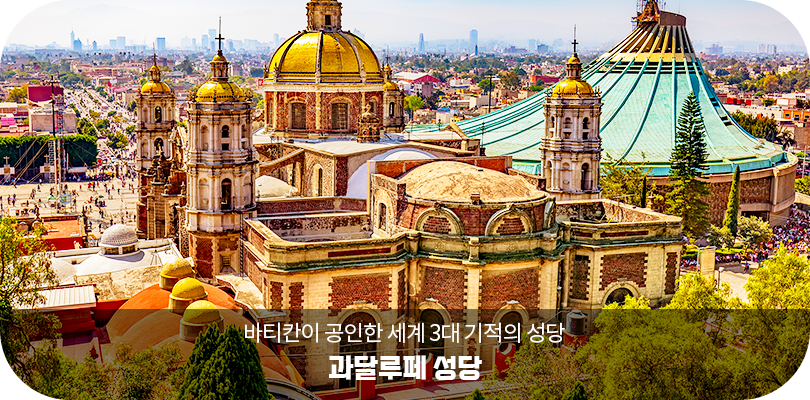 과달루페 성당