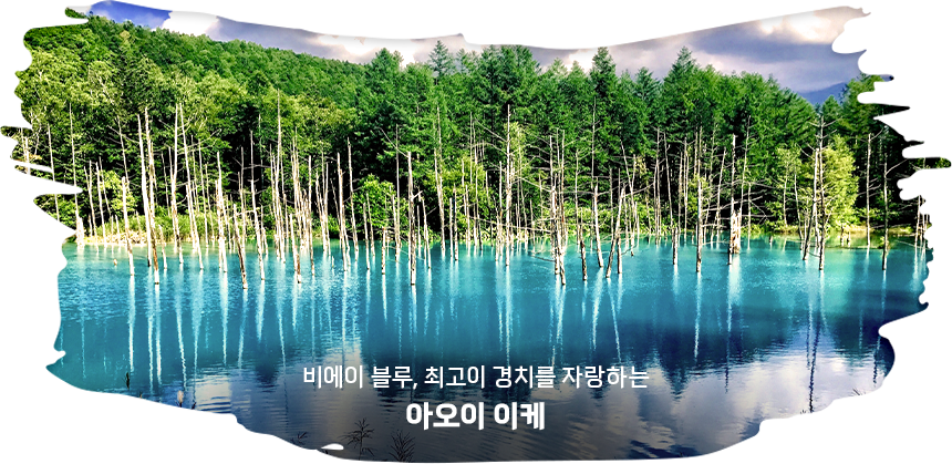 아오이이케