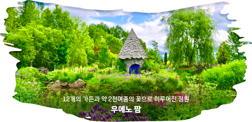 우에노팜