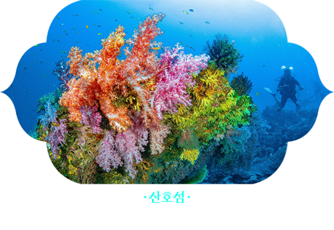 산호섬