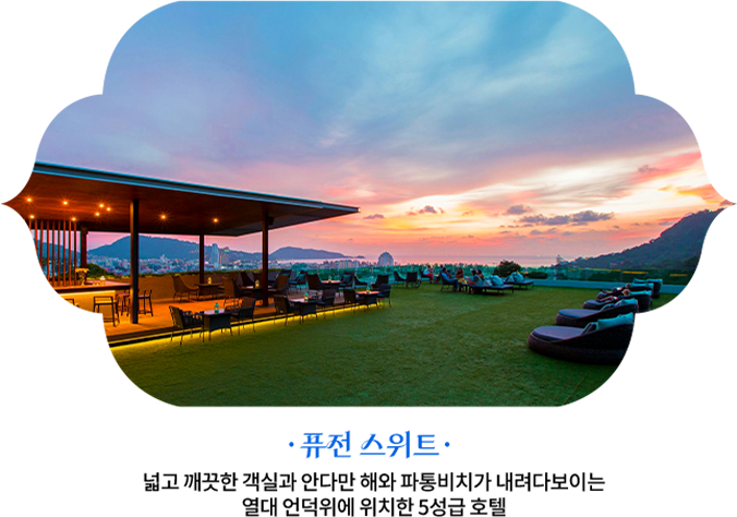 퓨전 스위트