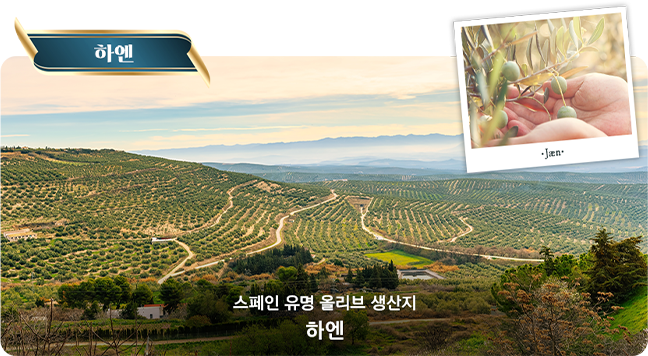하엔