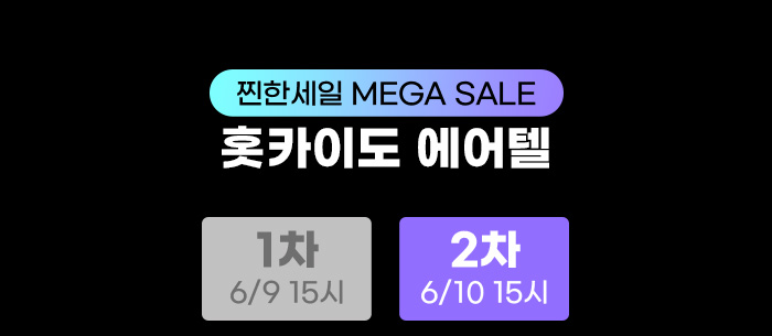 훗카이도 에어텔