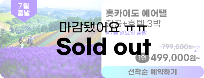 훗카이도 에어텔