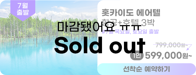 훗카이도 에어텔