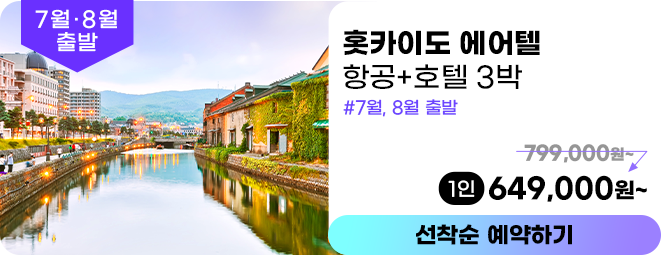 훗카이도 에어텔