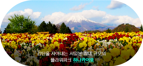 하나카이로
